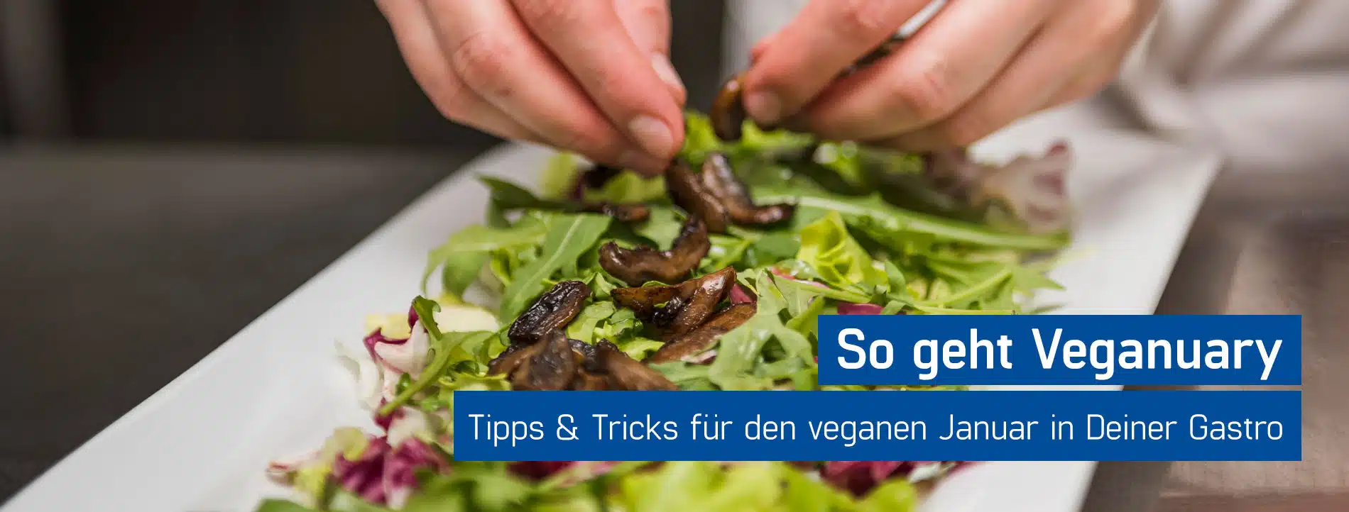 Koch richtet Salat auf einem Teller an, Veganuary Gastronomie, GastroSoft GmbH