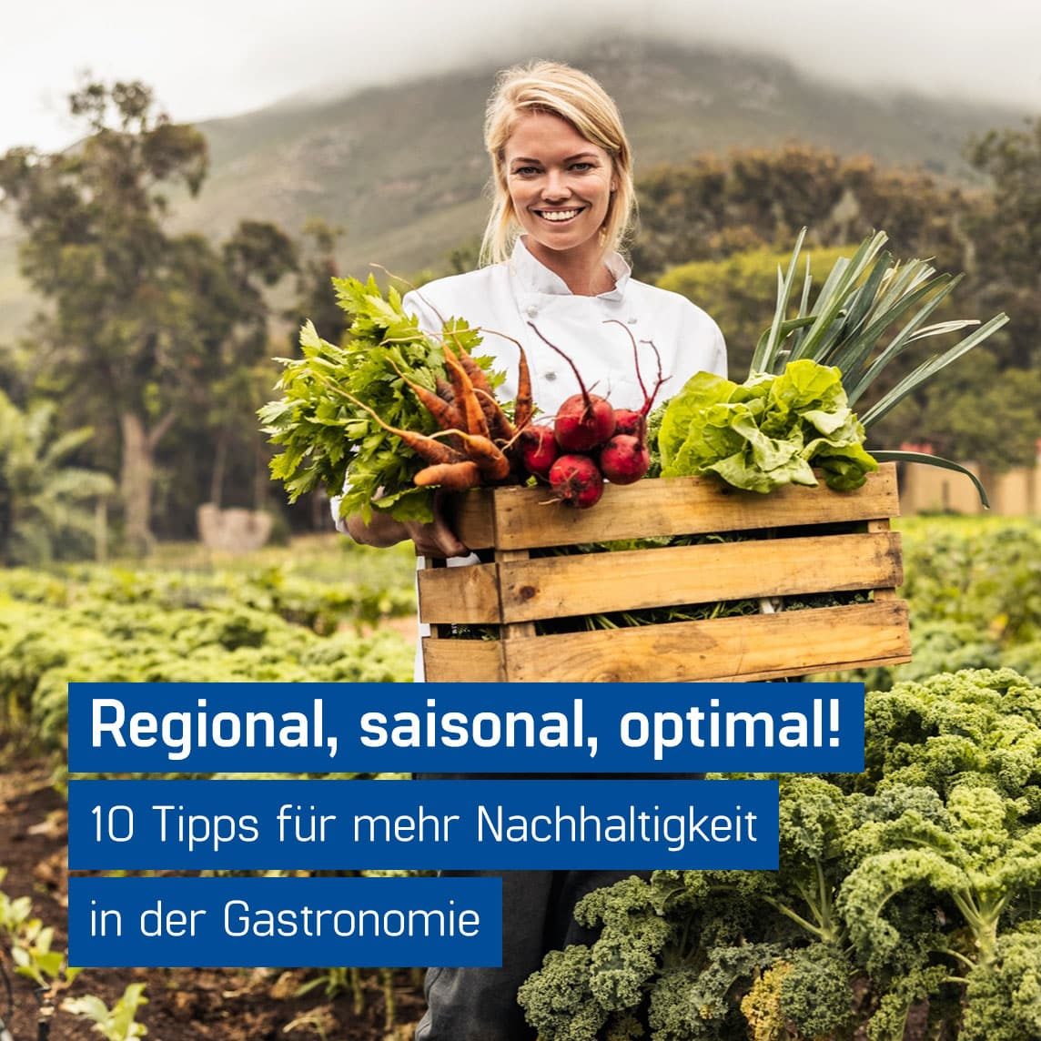 Fröhliche Köchin trägt Kiste mit regionalem Gemüse für Ihre nachhaltige Gastronomie