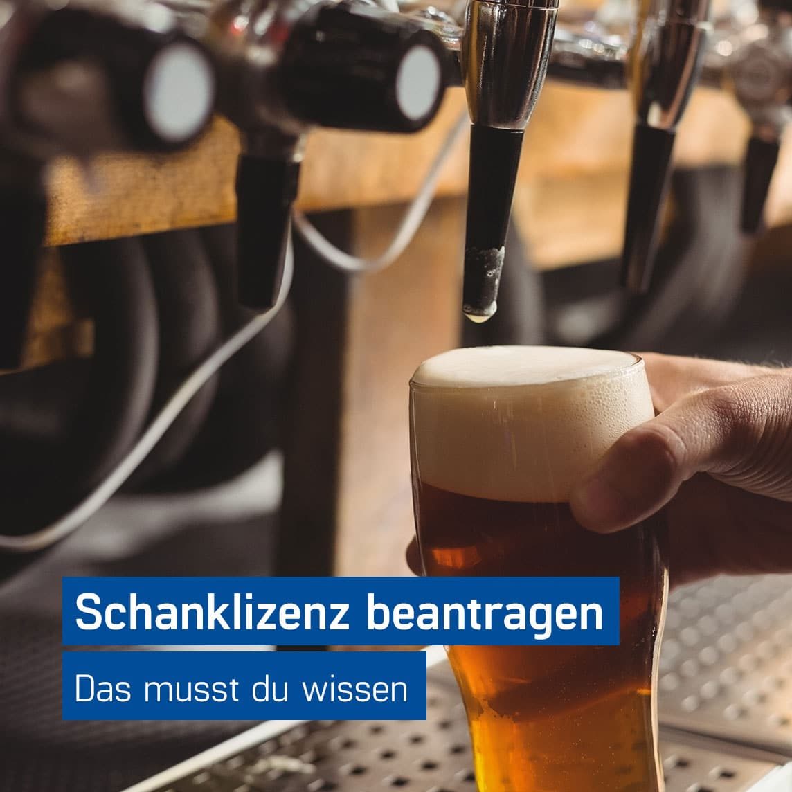 Barkeeper füllt ein Glas Bier an einer Schankanlage, Schanklizenz beantragen mit dem Guide von GastroSoft